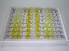 ELISA Kit for Interleukin 34 (IL34)