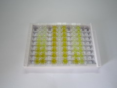 ELISA Kit for Interleukin 34 (IL34)