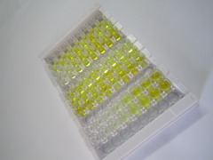 ELISA Kit for Serpin A10 (SERPINA10)