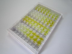 ELISA Kit for Interleukin 29 (IL29)