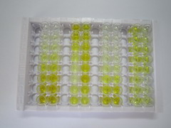 ELISA Kit for Interleukin 22 (IL22)