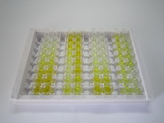 ELISA Kit for Interleukin 22 (IL22)