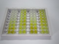 ELISA Kit for Farnesoid X Receptor (FXR)