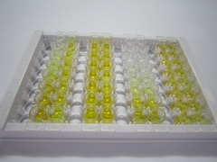 ELISA Kit for Asialoglycoprotein Receptor 2 (ASGR2)