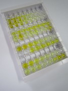 ELISA Kit for Integrin Beta 5 (ITGb5)