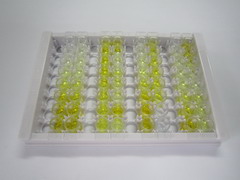 ELISA Kit for Bone Morphogenetic Protein 10 (BMP10)