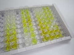 ELISA Kit for Neuregulin 2 (NRG2)