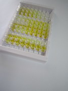 ELISA Kit for V-Erb B2 Erythroblastic Leukemia Viral Oncogene Homolog 3 (ErbB3)