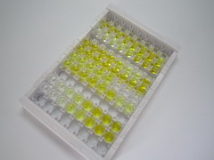 ELISA Kit for Erb-b2 Receptor Tyrosine Kinase 4 (ErbB4)