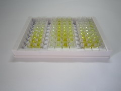 ELISA Kit for Histone Deacetylase 2 (HDAC2)