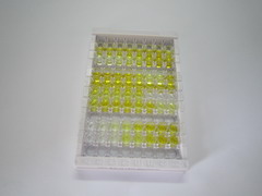 ELISA Kit for Histone Deacetylase 2 (HDAC2)