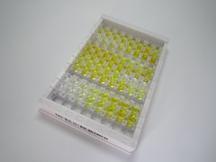 ELISA Kit for C-Raf Proto Oncogene Serine/Threonine Protein Kinase (Raf-1)