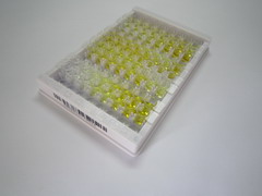 ELISA Kit for Telomerase Reverse Transcriptase (TERT)