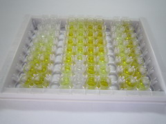 ELISA Kit for Fusion (FUS)