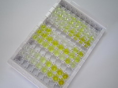 ELISA Kit for Adenosine Kinase (ADK)