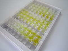 ELISA Kit for Afamin (AFM)