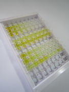 ELISA Kit for Adenine Phosphoribosyltransferase (APRT)