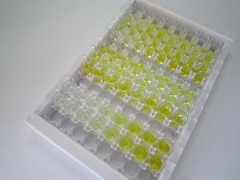 ELISA Kit for Ectonucleotide Pyrophosphatase/Phosphodiesterase 2 (ENPP2)