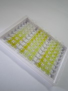 ELISA Kit for Lipase, Bile Salt Dependent (BSDL)