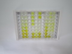 ELISA Kit for Caudal Type Homeobox 2 (CDX2)