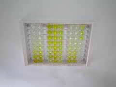 ELISA Kit for Carboxypeptidase M (CPM)