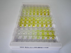 ELISA Kit for Cysteine Rich Protein 1, Intestinal (CRIP1)