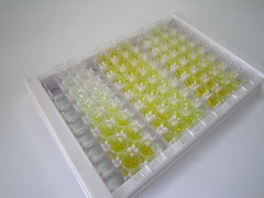 ELISA Kit for Cubilin (CUBN)