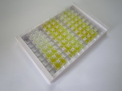 ELISA Kit for Calcium Sensing Receptor (CASR)