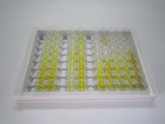 ELISA Kit for Calcium Sensing Receptor (CASR)