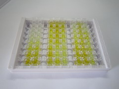 ELISA Kit for Catalase (CAT)