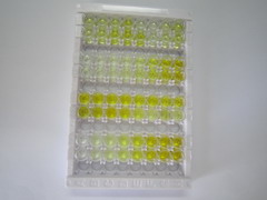 ELISA Kit for Constitutive Androstane Receptor (CAR)