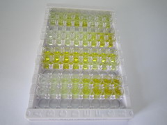 ELISA Kit for Constitutive Androstane Receptor (CAR)