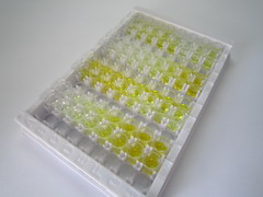 ELISA Kit for Cytoglobin (CYGB)