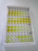 ELISA Kit for Dermatopontin (DPT)