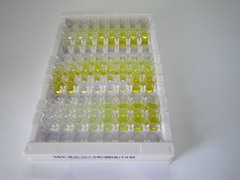 ELISA Kit for Extracellular Matrix Protein 1 (ECM1)