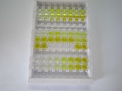 ELISA Kit for Endonuclease G, Mitochondrial (ENDOG)