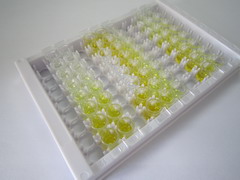 ELISA Kit for Fatty Acid Desaturase 1 (FADS1)