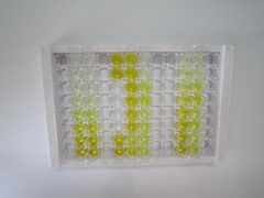 ELISA Kit for Fatty Acid Synthase (FASN)