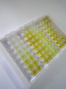 ELISA Kit for Fibulin 1 (FBLN1)