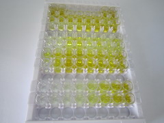 ELISA Kit for Fibrinogen Gamma (FGg)