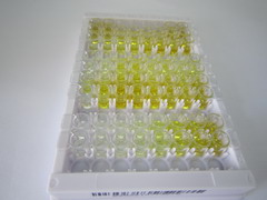 ELISA Kit for Flotillin 2 (FLOT2)