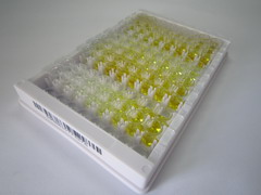 ELISA Kit for Ferroportin (FPN)