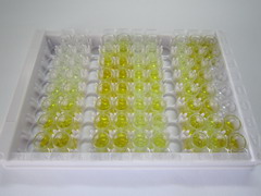 ELISA Kit for Hyaluronan Binding Protein 2 (HABP2)