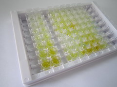 ELISA Kit for Hippocalcin Like Protein 1 (HPCAL1)