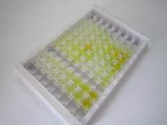 ELISA Kit for Janus Kinase 1 (JAK1)