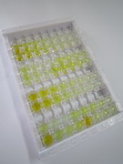 ELISA Kit for Vasoactive Intestinal Peptide Receptor 1 (VIPR1)