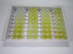 ELISA Kit for Virus Induced Signaling Adapter (VISA)