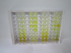 ELISA Kit for Vanin 1 (VNN1)