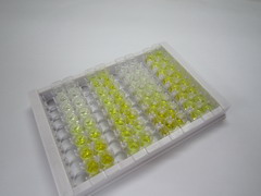 ELISA Kit for Vasodilator Stimulated Phosphoprotein (VASP)