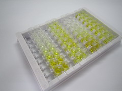 ELISA Kit for Vasodilator Stimulated Phosphoprotein (VASP)